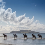 Horse Racing Syndicates in Newtown 5