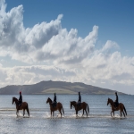 Horse Racing Syndicates in Newtown 2