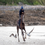 Racehorse shares in Alconbury Weston 8
