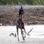 Horse Racing Syndicates in Sandon 1