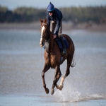 Racehorse shares in Blaenllechau 2