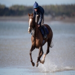 Racehorse shares in Bridge End 10