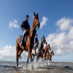 Racehorse shares in Addington 3