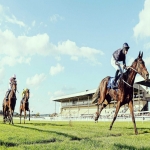 Horse Racing Syndicates in New Town 3