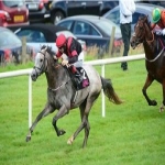 Racehorse shares in Newton 2