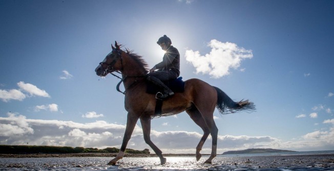 Racehorse Shares  in East Ayrshire