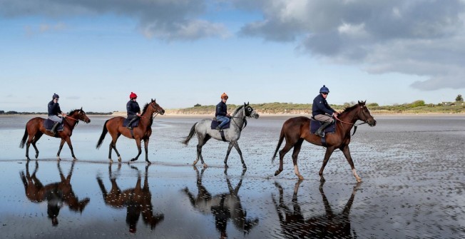 Horses on the Beach